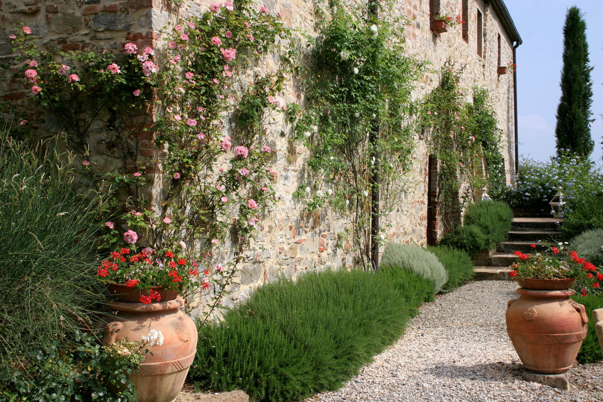 Tenuta Sant'Ilario Gambassi Terme Eksteriør billede